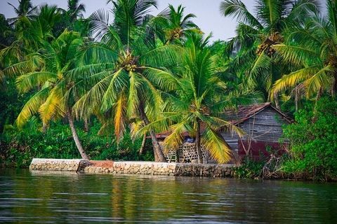 back water of kerala