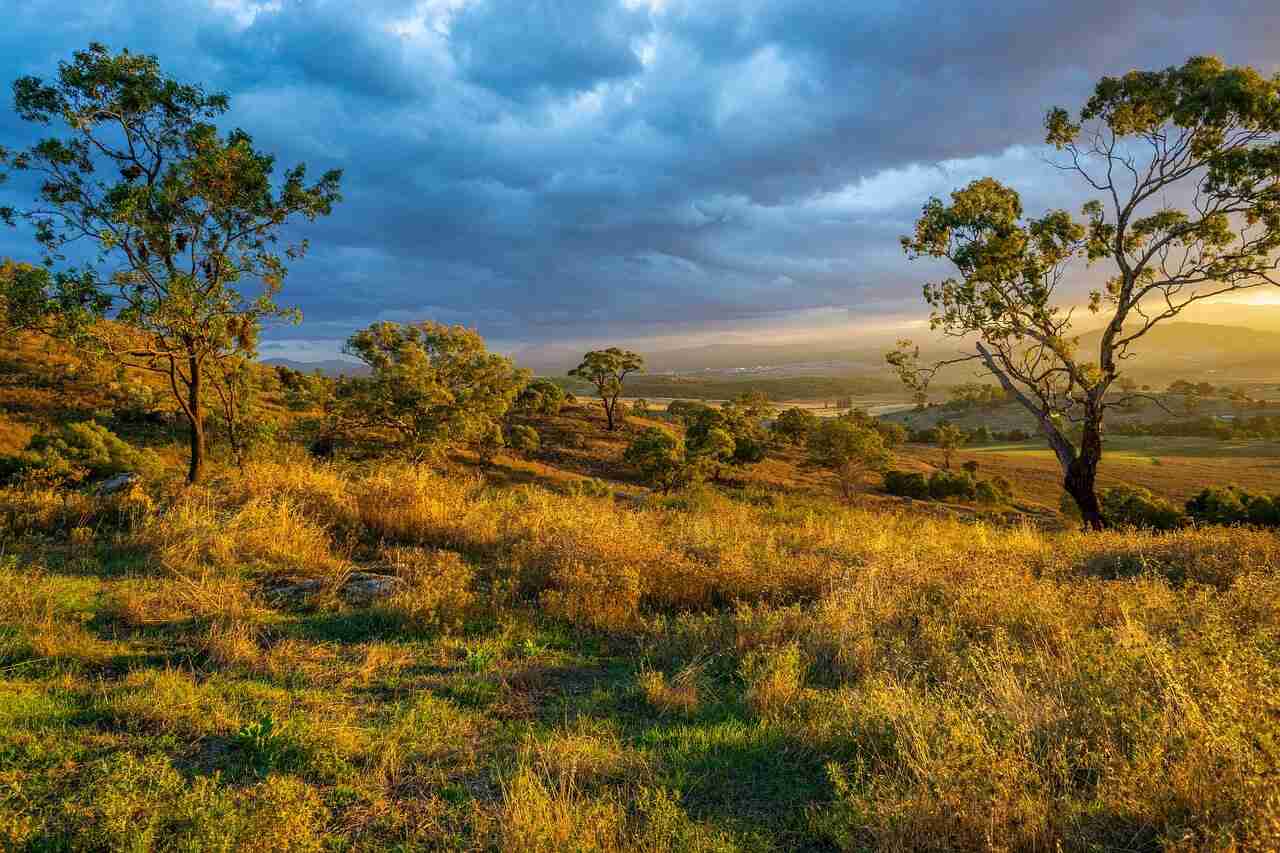 geagrophy landscape